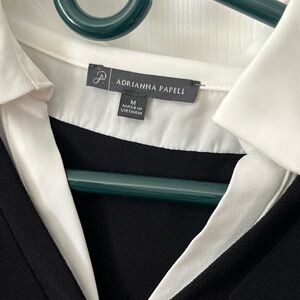 Adrianna Papell Monochrome Blouse